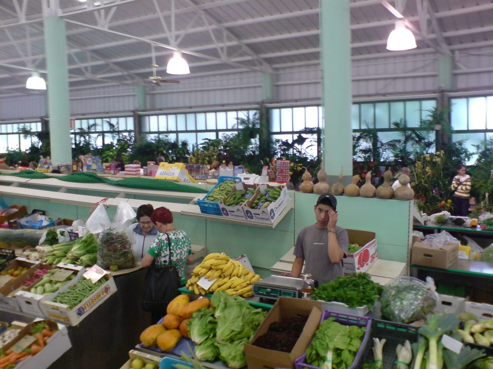 Stall of seasonal fruit and vegetables at an agricultural market in the north of Gran Canaria
