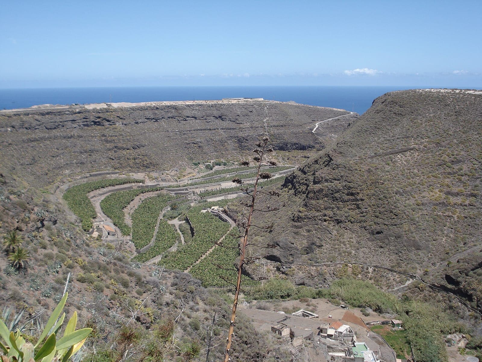 A green and lush ravine in the north of Gran Canaria