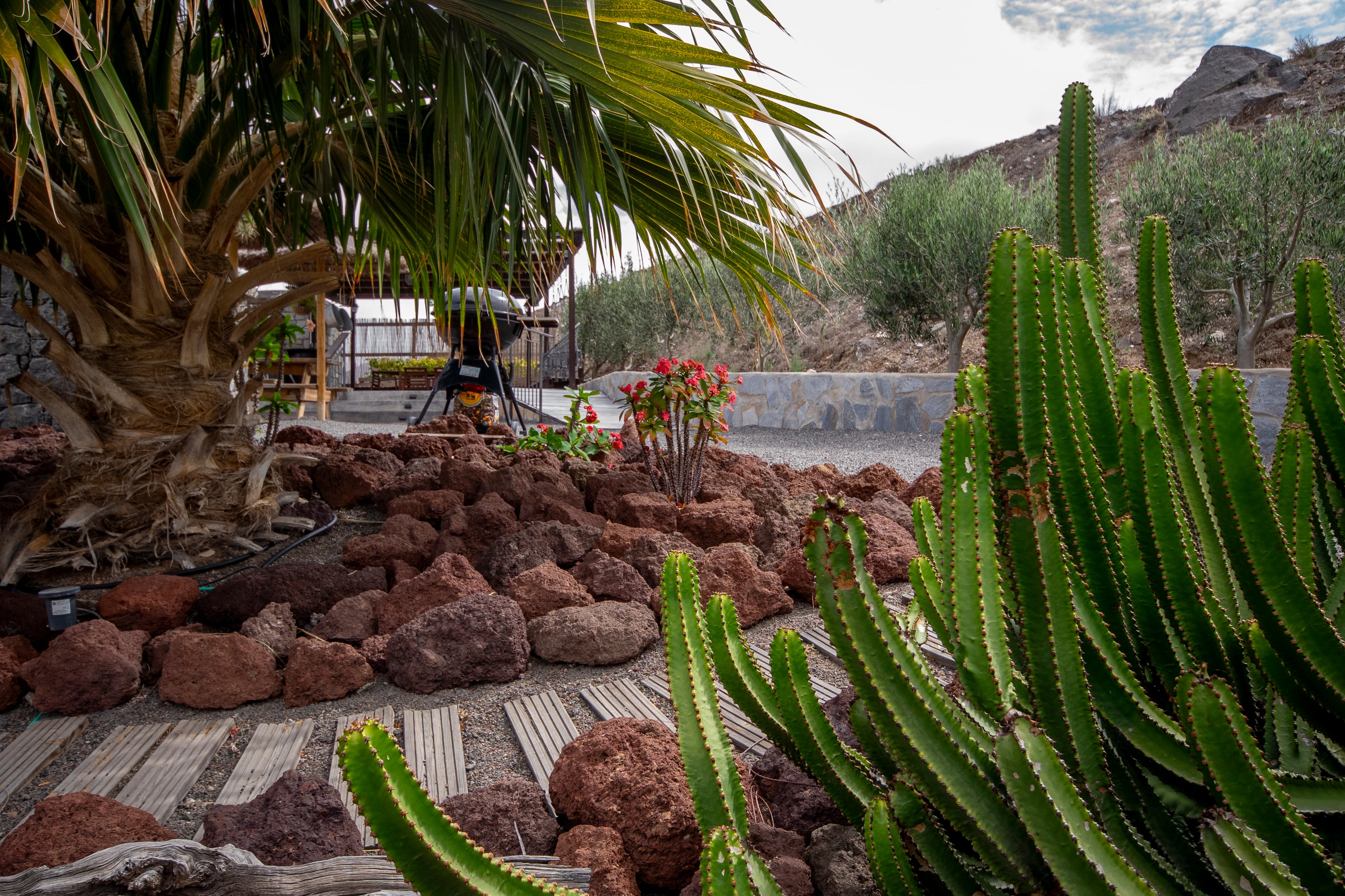 Jardín del Norte en Gran Canaria